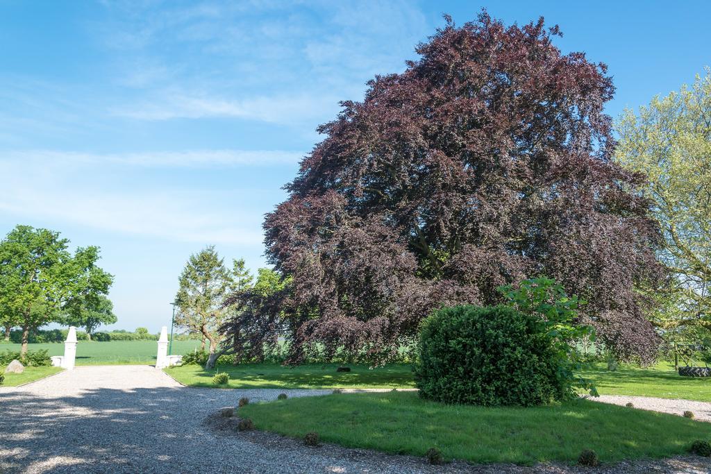 Ferienhof Kolauerhof - Bauernhofurlaub In Grömitz Extérieur photo